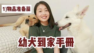 【幼犬到家手册】上 | 幼犬到家前需要准备的物品，最精简&最省钱 | 养狗入门必备【养狗这件大事】第三期