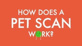 How does a PET scan work?