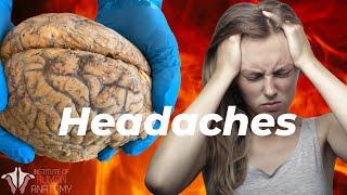 What is Causing Your Headaches?