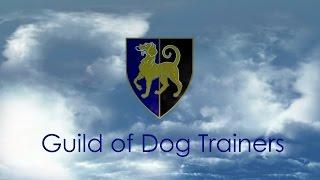 PET GUNDOG TRAINING PART 1  Lez Graham GODT TV