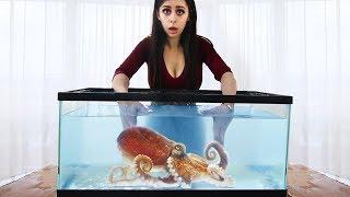 Whats in the Box Challenge - UNDERWATER AQUARIUM VERSION !