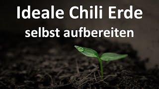 Ideale Chilierde selbst aufbereiten