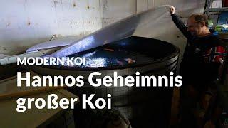 Hannos 5000 Liter Genesis Aufzucht | Modern Koi Blog #6529