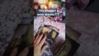 Что спешит в мою жизнь???