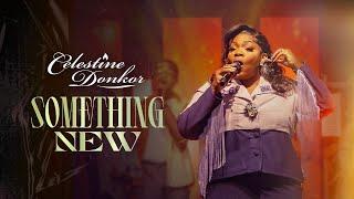 Celestine Donkor-Something New