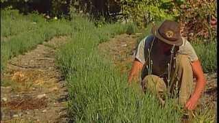 Wedderspoon Organic Herb Farm - Shaw TV Duncan