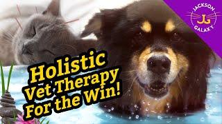 Holistic Vet Therapy for the Win!