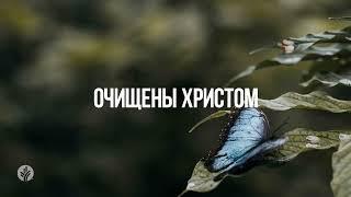 ОЧИЩЕНЫ ХРИСТОМ | Ежедневное христианское чтение | 3   июня 2024