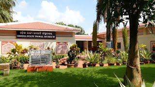 Odisha State Tribal Museum