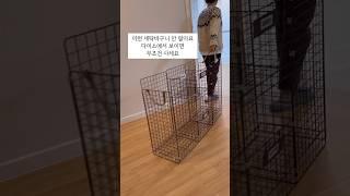 Easiest way to make Laundry basket DAISO