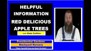 RED DELICIOUS APPLE TREE VARIETY -  Helpful Information with Dale Collins at  Presidential Gardens