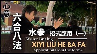 【招式應用】心意六合八法拳(一）【Application from the forms】 XinYi LiuHe BaFa Quan （1）