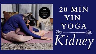 Yin Yoga for Kidney Health - 20 Minutes - Kidney Meridian Sequence