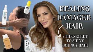 *HOW I HEALED MY DAMAGED HAIR* The secret to shiny + bouncy hair! My full routine