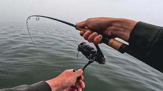 Crushing Aggressive Hybrid Striped Bass! (Jigging with Flukes) | Kansas Part II