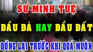 Sư Minh Tuệ: HẠNH ĐẦU ĐÀ Hay HẠNH ĐẦU ĐẤT? Dừng Lại Trước Khi Quá Muộn