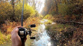 Late Fall Top-water / Wacky Worm Bank Fishing for Largemouth Bass