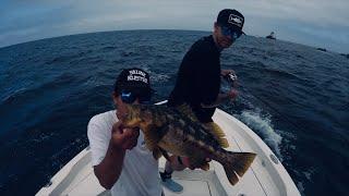 Fishing Catalina With Coastal Charters