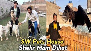 "SW Pets House Aur Shehr Main Dihat Ke New Zoo Ka Raaz!  Raja Gidh Ka Ghar"