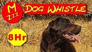 Silent Dog Whistle - Random Whistle Sounds Only Dogs Can Hear - How to Stop Dogs Barking