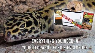 A Beginner's Guide to Leopard Gecko Enclosures! | Tanks, Lighting, Heating, and more!