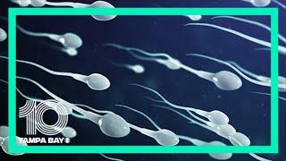 Brink of a fertility crisis: Scientist says plummeting sperm counts caused by everyday products