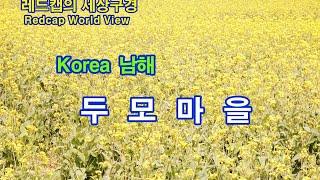 남해 두모마을 유채꽃