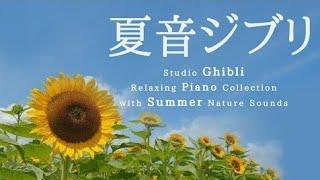 Studio Ghibli Summer Day Piano Collection ,Calm Music, Relaxing Music(No Mid-roll Ads)