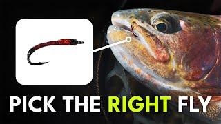 How To Match the Hatch with Midges — Fly Selection Tips | Module 3, Section 1