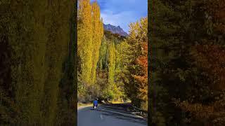 Welcome tothe land of Pashtoon beautiful views #travel #autumn #kpktourism #explore 29 November 2024