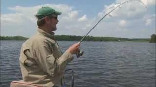 Al Lindner knows Drop Shot Bass Fishing