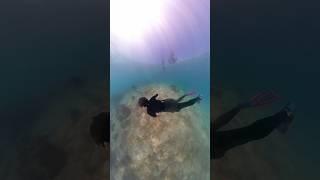 High-Speed Chase Freediving Insta360 X3 Kanso x Migz