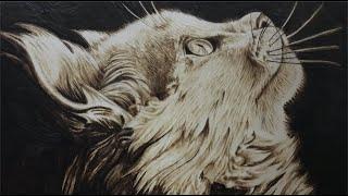 Hopeful Cat | Pyrography Time-lapse