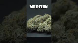 Medellin - Lot $20 -  28% THC - 3% Terps from MendoMedical