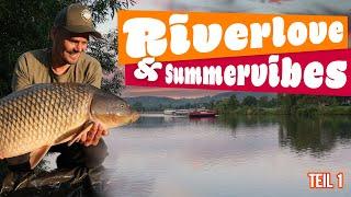 Riverlove & Summervibes  | Flusskarpfen | Taktik | Tipps - Teil 1