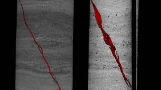 Mancos Shale failed in triaxial cell: PD 11 PostTest