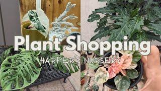 SO MANY UNCOMMON PLANTS!| HOUSE PLANT SHOPPING| Harper's Nursery