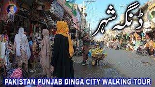 PAKISTAN PUNJAB DINGA CITY WALKING TOUR / naqvi village life