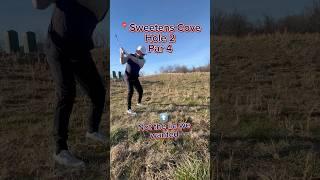 Sweetens Cove - Hole 2 - Par 4 (We Sucked This One Up) #SweetensCove #DogsAtTheTurn #golf