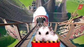 Hamster in Roller Coaster Maelstrom with shark