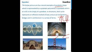 The below picture are few natural examples of parabolic shape which is - Teachoo