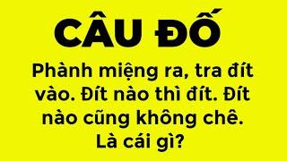 Những câu đố vui hay nhất có đáp án phần 48 | Đố vui có đáp án