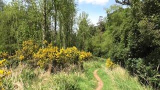 swcwalks, swcwalk 41, Bow Brickhill to Leighton Buzzard. 18/4/24