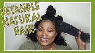 DETANGLE NATURAL HAIR BEFORE WASHING | THICK, DRY & MATTED!!!