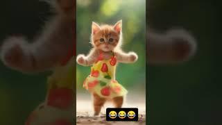 #shortsfeed #viralvideo #cat   #shorts#funny  #aivideo  #ai #trending #subscribe #status #like