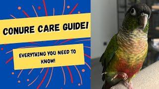 Conure Care Guide | Everything You Need To Know! | TheParrotTeacher