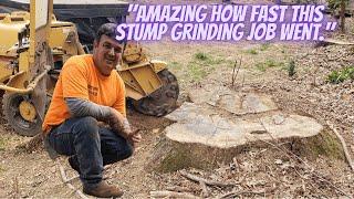 "Amazing how fast this stump grinding job went."