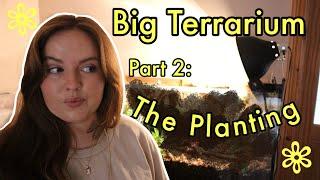 Big Tank Terrarium | Part 2: The Planting