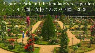 【Izu Roses】 Kawazu Bagatelle Park and the Landlady's Rose Garden