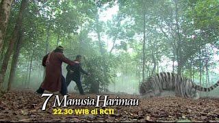 7 MANUSIA HARIMAU : Ketika dua Harimau putih melawan musuhnya